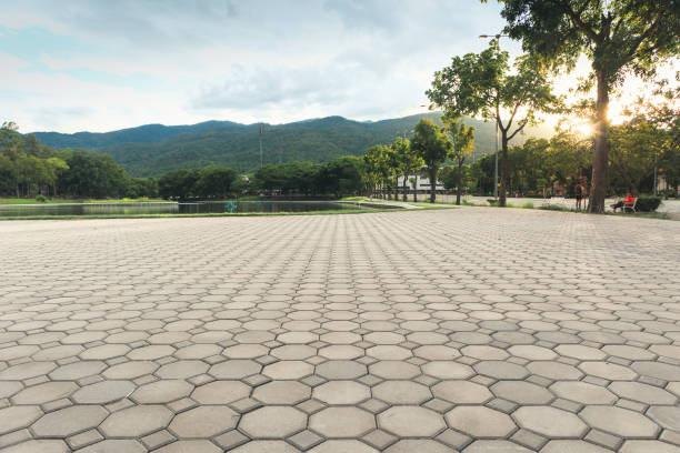 Best Residential Paver Driveway  in Santee, CA